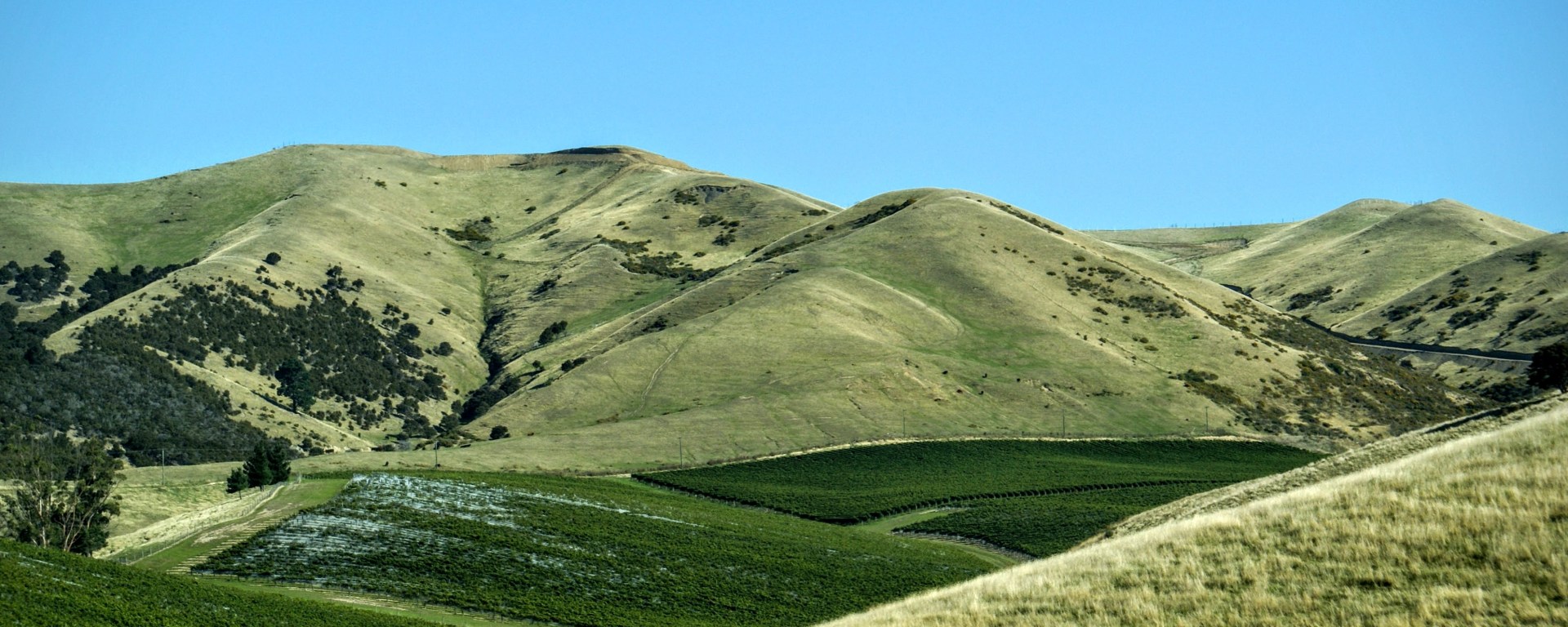 cloudy bay malborough