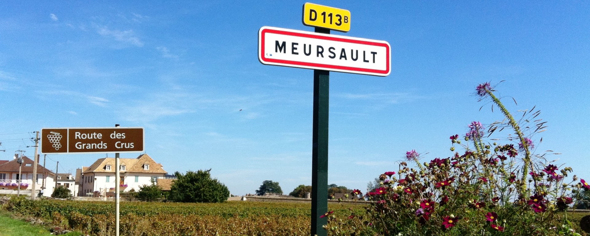 Meursault route des grands crus