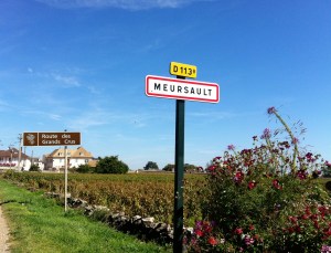 Meursault-route-des-vins